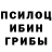 Псилоцибиновые грибы Magic Shrooms OxwardPlayZ