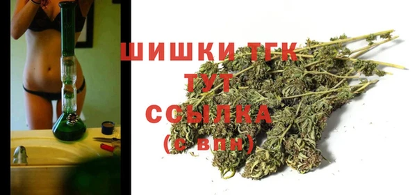 шишки Абаза