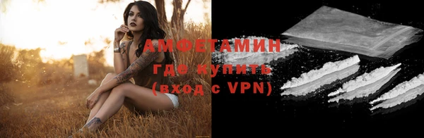 шишки Абаза
