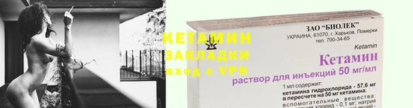 шишки Абаза