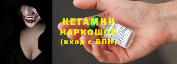 шишки Абаза