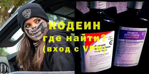 шишки Абаза