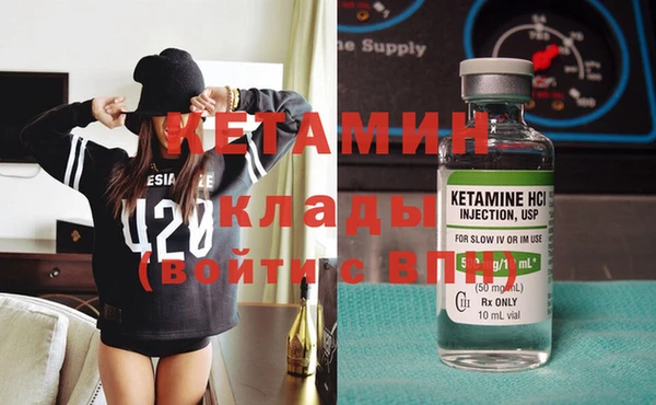 шишки Абаза