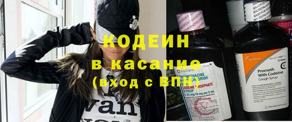 прущие грибы Абинск