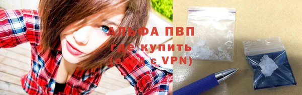 шишки Абаза