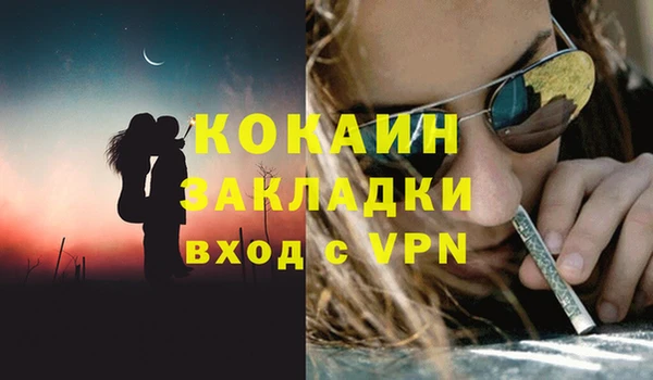 прущие грибы Абинск