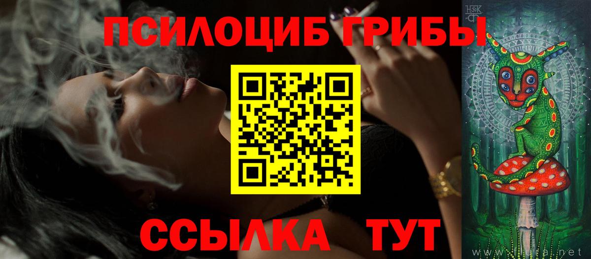 APVP Красноармейск